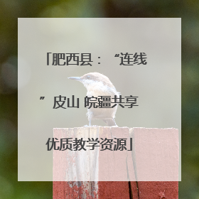 肥西县:“连线”皮山 皖疆共享优质教学资源
