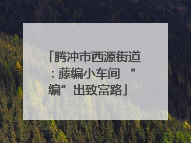 腾冲市西源街道：藤编小车间 “编”出致富路