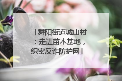 舞阳街道城山村：走进苗木基地，织密反诈防护网