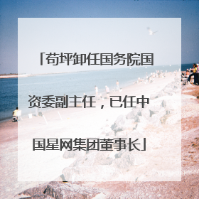 苟坪卸任国务院国资委副主任，已任中国星网集团董事长