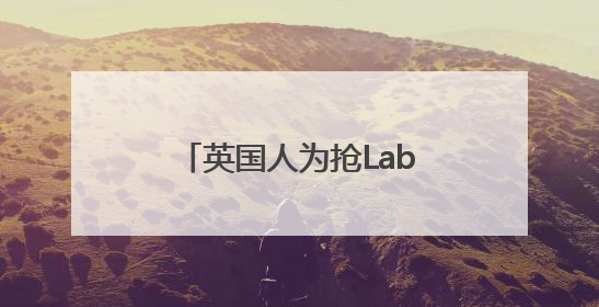 英国人为抢Labubu大打出手！