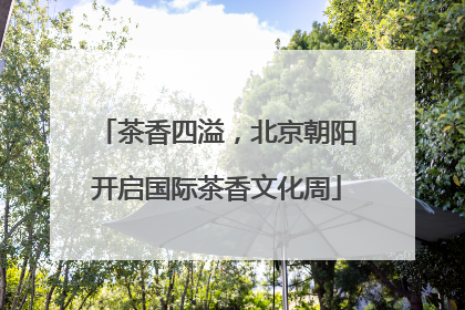 茶香四溢，北京朝阳开启国际茶香文化周