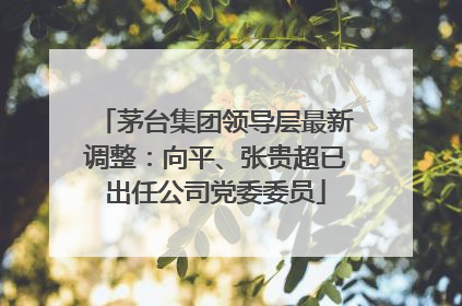 茅台集团领导层最新调整：向平、张贵超已出任公司党委委员
