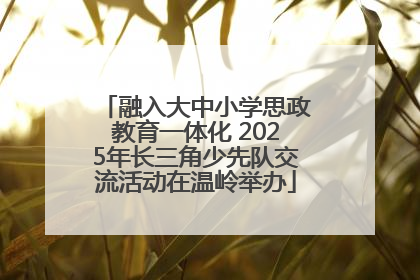 融入大中小学思政教育一体化 2025年长三角少先队交流活动在温岭举办