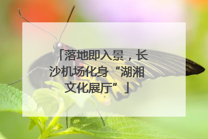 落地即入景，长沙机场化身“湖湘文化展厅”