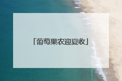 葡萄果农迎夏收