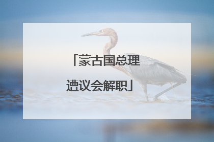 蒙古国总理遭议会解职