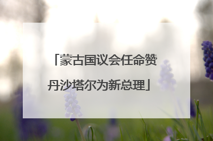 蒙古国议会任命赞丹沙塔尔为新总理