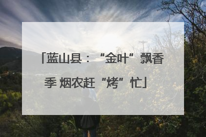 蓝山县：“金叶”飘香季 烟农赶“烤”忙