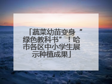 蔬菜幼苗变身“绿色教科书”！哈市各区中小学生展示种植成果