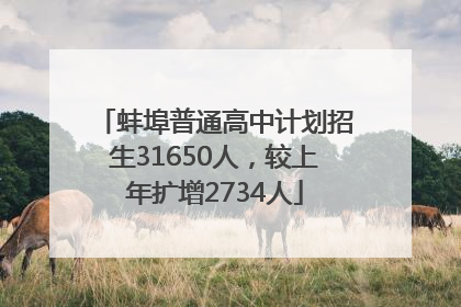 蚌埠普通高中计划招生31650人，较上年扩增2734人