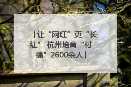 让“网红”更“长红” 杭州培育“村播”2600余人
