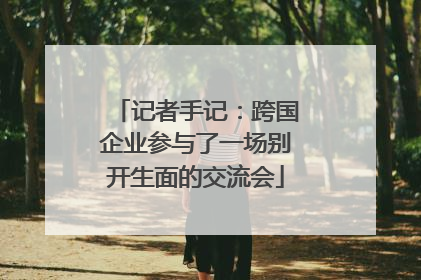 记者手记：跨国企业参与了一场别开生面的交流会
