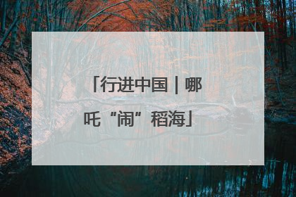 行进中国｜哪吒“闹”稻海