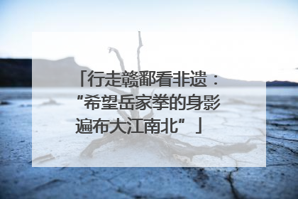 行走赣鄱看非遗：“希望岳家拳的身影遍布大江南北”
