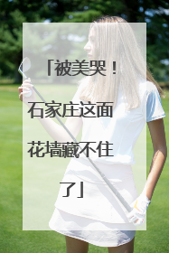 被美哭！石家庄这面花墙藏不住了