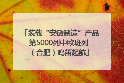 装载“安徽制造”产品 第5000列中欧班列（合肥）鸣笛起航