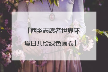 西乡志愿者世界环境日共绘绿色画卷