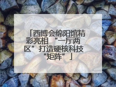西博会绵阳馆精彩亮相 “一厅两区”打造硬核科技“矩阵”
