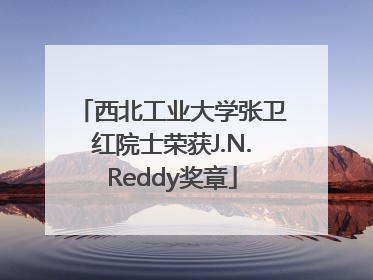西北工业大学张卫红院士荣获J.N.Reddy奖章