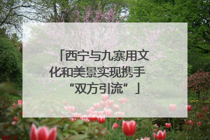 西宁与九寨用文化和美景实现携手“双方引流”