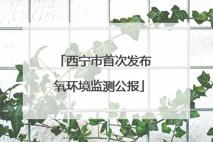西宁市首次发布氧环境监测公报