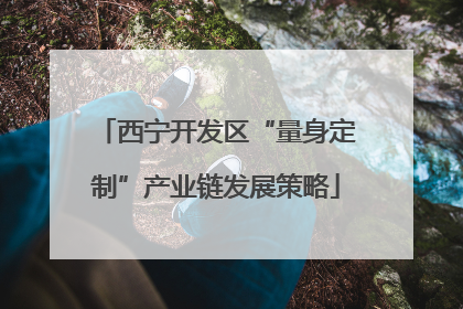 西宁开发区“量身定制”产业链发展策略
