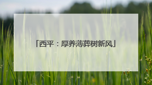 西平：厚养薄葬树新风