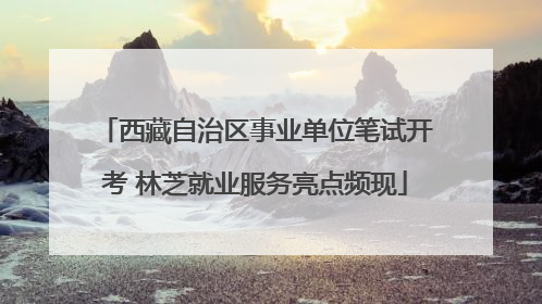 西藏自治区事业单位笔试开考 林芝就业服务亮点频现