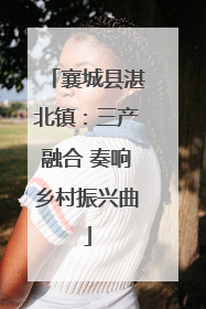 襄城县湛北镇：三产融合 奏响乡村振兴曲
