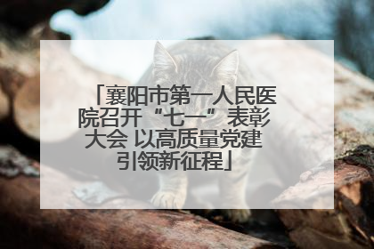 襄阳市第一人民医院召开“七一”表彰大会 以高质量党建引领新征程