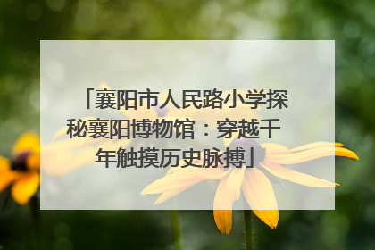 襄阳市人民路小学探秘襄阳博物馆：穿越千年触摸历史脉搏