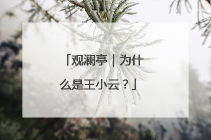 观澜亭｜为什么是王小云？