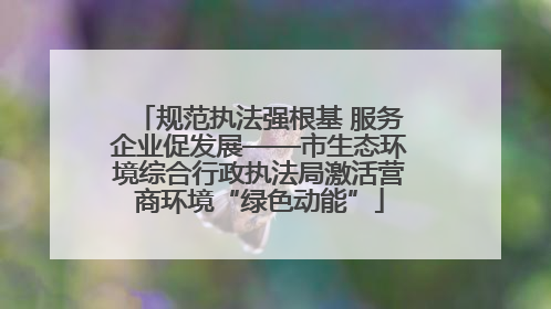 规范执法强根基 服务企业促发展——市生态环境综合行政执法局激活营商环境“绿色动能”