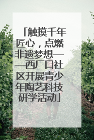 触摸千年匠心，点燃非遗梦想——西厂口社区开展青少年陶艺科技研学活动