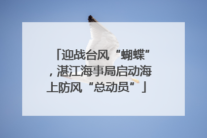 迎战台风“蝴蝶”，湛江海事局启动海上防风“总动员”