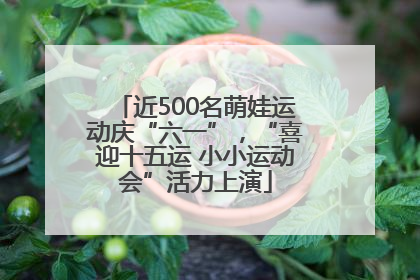 近500名萌娃运动庆“六一”，“喜迎十五运 小小运动会”活力上演
