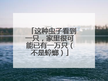 这种虫子看到一只，家里很可能已有一万只（不是蟑螂）