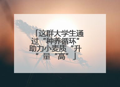 这群大学生通过“种养循环”助力小麦质“升”量“高”