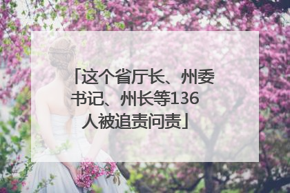 这个省厅长、州委书记、州长等136人被追责问责