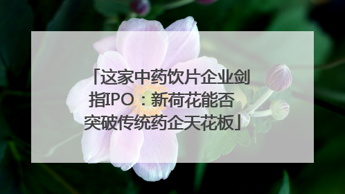 这家中药饮片企业剑指IPO：新荷花能否突破传统药企天花板