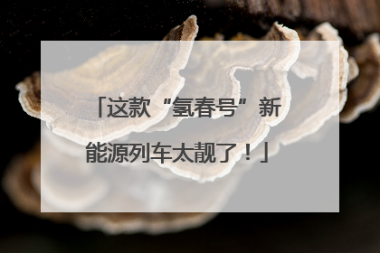 这款“氢春号”新能源列车太靓了！