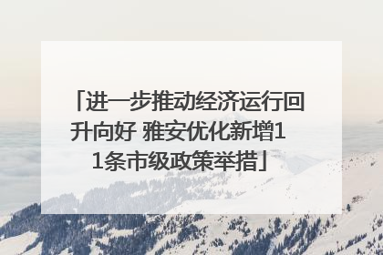 进一步推动经济运行回升向好 雅安优化新增11条市级政策举措