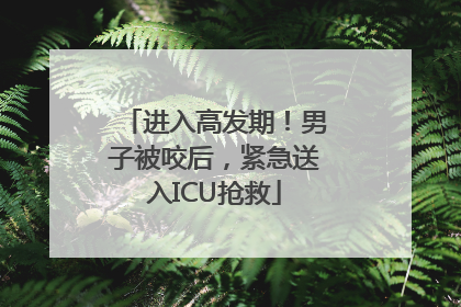 进入高发期！男子被咬后，紧急送入ICU抢救