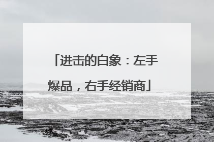 进击的白象：左手爆品，右手经销商