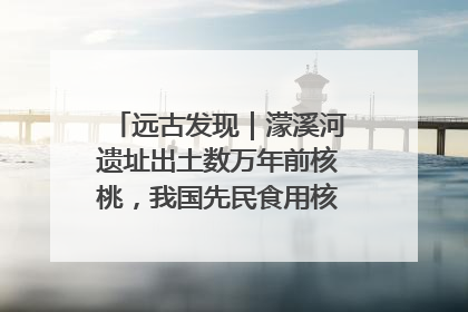 远古发现｜濛溪河遗址出土数万年前核桃，我国先民食用核桃历史大幅提前