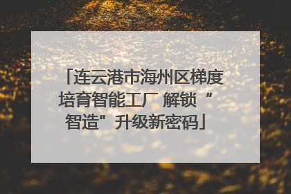 连云港市海州区梯度培育智能工厂 解锁“智造”升级新密码
