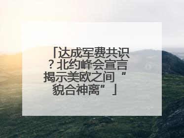达成军费共识？北约峰会宣言揭示美欧之间“貌合神离”