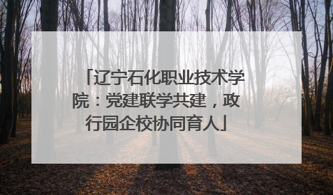 辽宁石化职业技术学院：党建联学共建，政行园企校协同育人