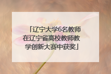 辽宁大学6名教师在辽宁省高校教师教学创新大赛中获奖